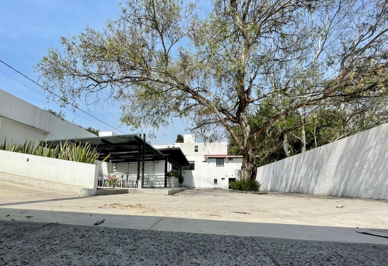 Casa Bonsai Bed and Breakfast Mexico By Eksteriør billede